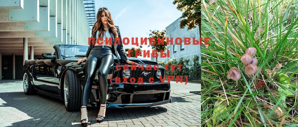 гидропоника Алзамай