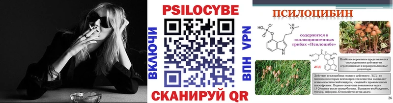 Галлюциногенные грибы Psilocybine cubensis  Волгодонск 